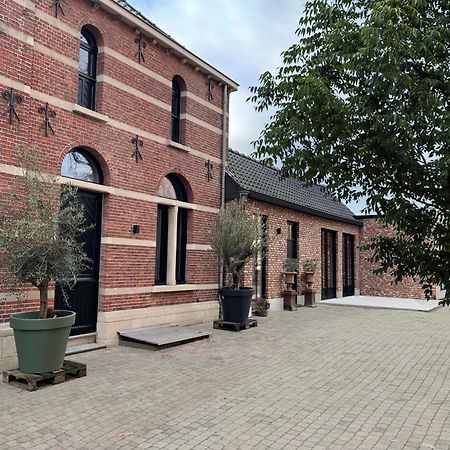 De Wilden Ezel Bed & Breakfast Mol Exterior foto