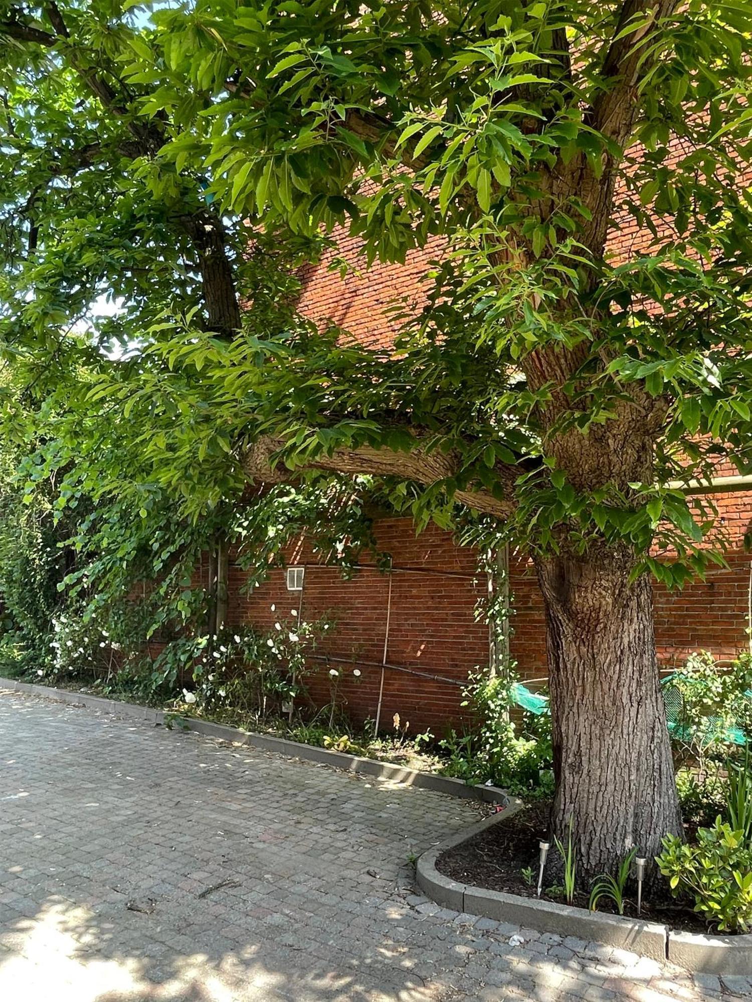 De Wilden Ezel Bed & Breakfast Mol Exterior foto